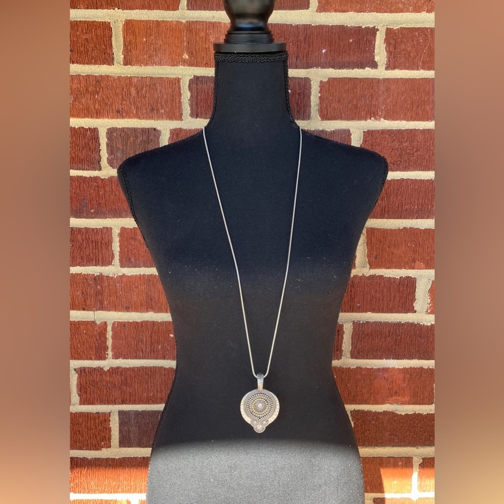 Extra Long, Silver Medalian Necklace